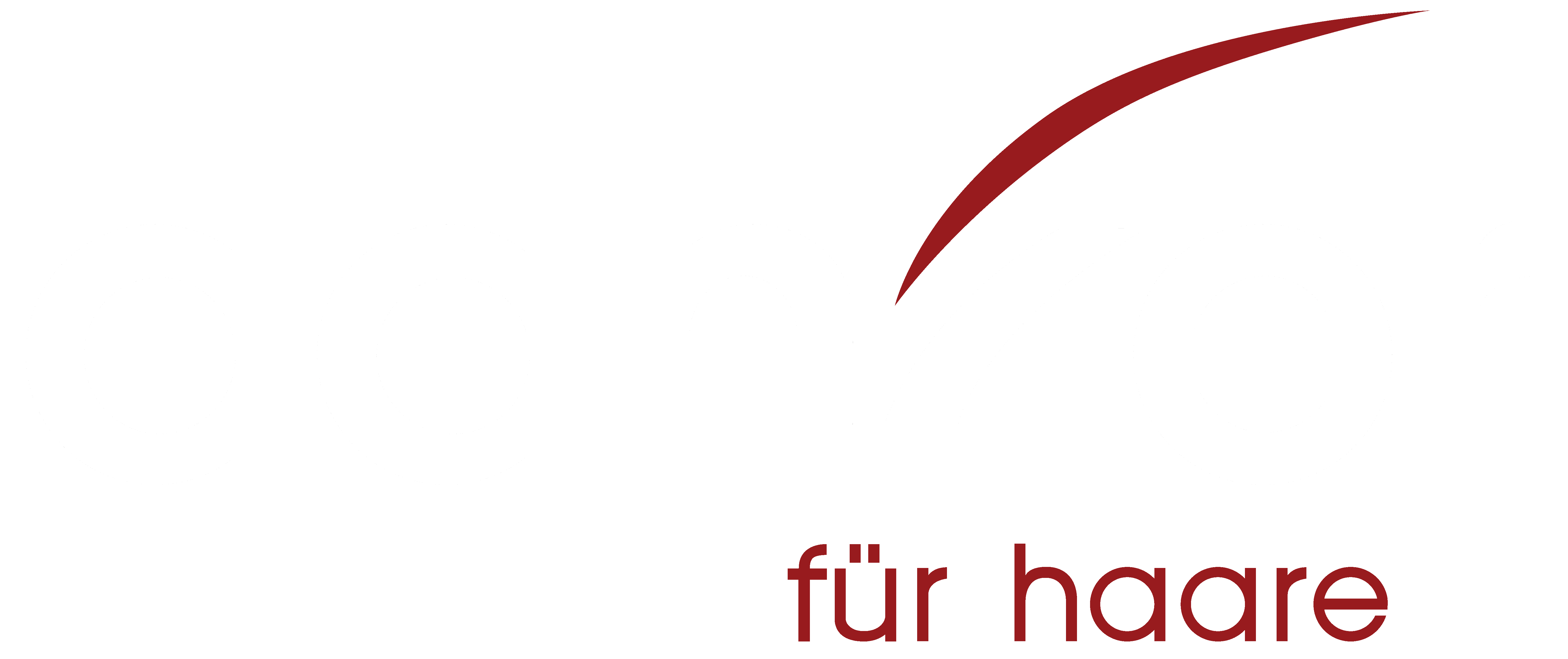 Logo Danzer